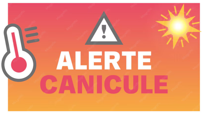 canicule.png